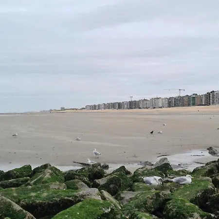 House Near De Hoge Blekker Dunes, Cleaning Included *